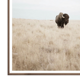 Great Plains Framed Print