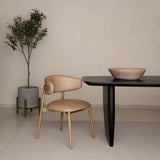 Shelly Dining Chair