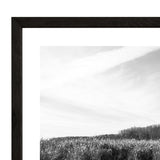 Mer Bleue Wide Framed Print