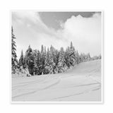 Fresh Tracks Framed Print