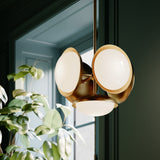 James 5 Light Pendant