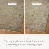 Briar Olive / Stone Rug