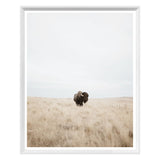 Great Plains Small Framed Print