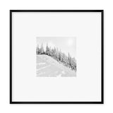 Canadian Landscape VII Framed Print