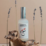 Summer in Marseilles Room Perfume