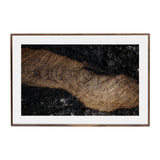 Des Grands Bois Framed Print