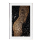 Des Grands Bois Framed Print