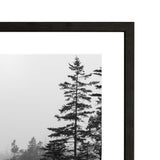 LD Landscape Framed Print 2