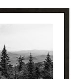 LD Landscape Framed Print 4