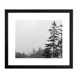 LD Landscape Framed Print 2