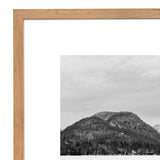 SL Landscape Framed Print 4