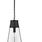 Robinson 11.75" Pendant - Clear Glass