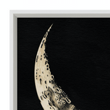Lunar I Framed Print