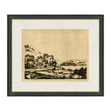 Wandering Wood Framed Print I