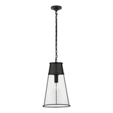 Robinson 11.75" Pendant - Clear Glass